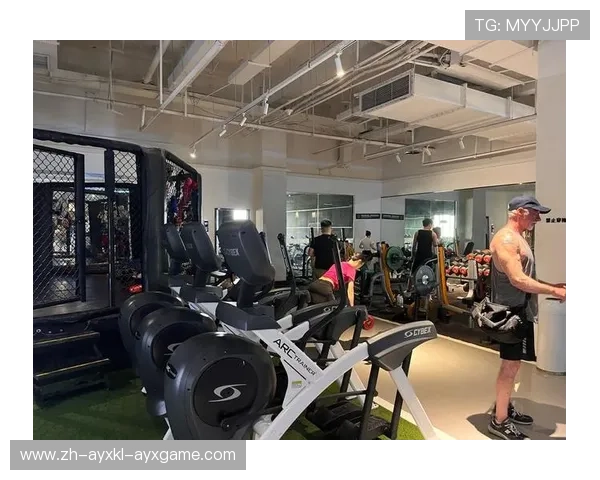 高效胸肌增肌五大专业级健身器材盘点