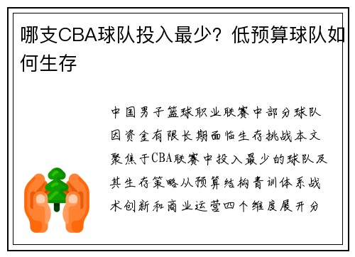 哪支CBA球队投入最少？低预算球队如何生存